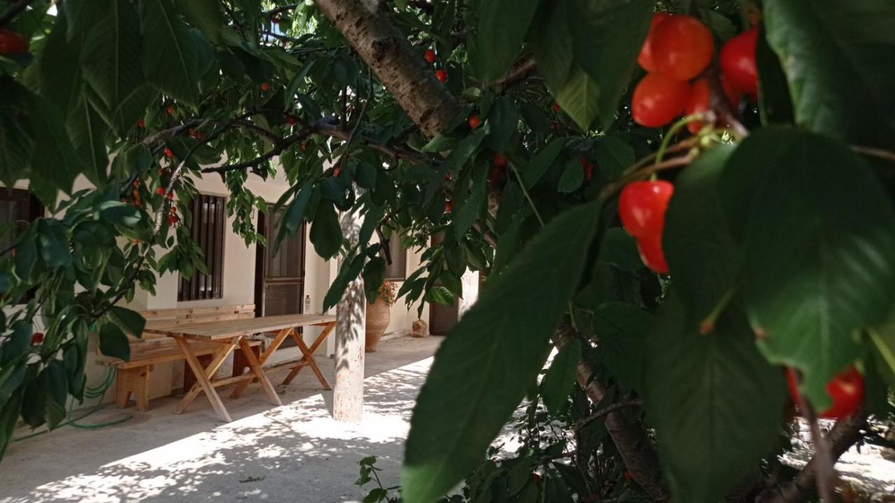 Villatzer - Traditional House With Fireplace And Garden Tzermiádon Exterior foto
